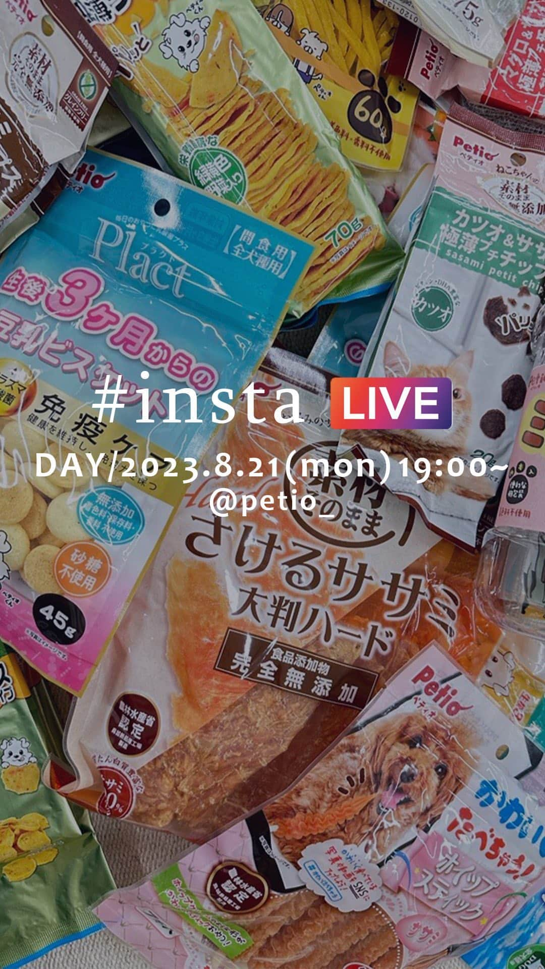 Petioのインスタグラム：「\2023年秋新商品 紹介LIVE/ 本日8月21日より2023年秋新商品が発売になりました！ 新商品はPetio Onlineshopでどこよりも早くGETできるのでぜひチェックしてくださいね🛒  さらにさらに！web展示会も開催中🎪✨ Petioのホームページからご覧ください！  _________________  新商品おすすめセット プレゼント企画の詳細🎁  ◆応募方法は3STEP ① @petio_ をフォロー ② この動画にいいね♡ ③ ワンちゃん用orネコちゃん用 応募したい方をコメント✍️  さらにさらに！ この動画をストーリーでシェアしてくれると当選率アップ⁉︎ @petio_ のメンションもお忘れなく😊  ◆ 応募期間 2023.8/21〜2023.8/27 ※本企画は終了しました。  #新商品 #newproducts #newarrivals  #2023aw #プレゼント企画 #プレゼント」