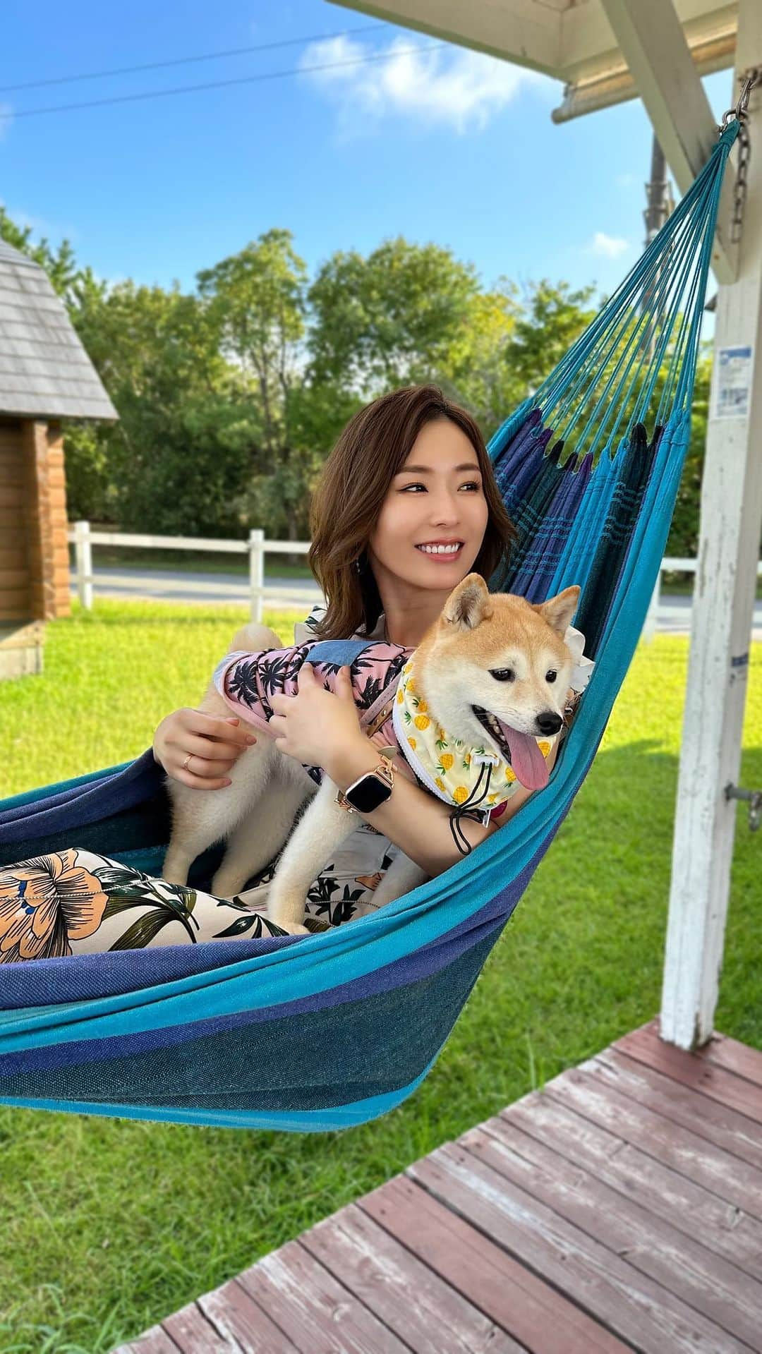 本条舞のインスタグラム：「舞ところちゃんの夏休み🌻  #本条舞 #actor #actress #豆柴  #柴犬 #mameshiba  #shibainu #pet #japan #kawaii #dog #いぬのきもち #犬のいる暮らし #shiba_snap #わんこ動画 #시바 #赤柴 #shiba #赤豆柴 #ハンモックのある生活 #犬と旅行 #犬とキャンプ」