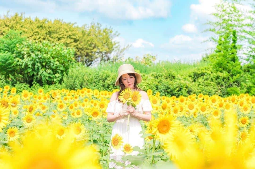 Mikaのインスタグラム：「『sunflower』  🌻🌻🌻  災害級の暑さが続いてるけど負けないで夏を楽しむようにしてる👒  またプールにも行ってきました👙 残暑という感じじゃない！  常夏、酷暑です☀️  ・ ・ ・ photo by @isanori.m 📸 model @mika_portrait  ・ ・ ・ ・ follow me💋  #美花展 #向日葵 #向日葵ポートレート #向日葵畑 #向日葵が好き  #向日葵撮影 #誰かの記憶に残る写真 #カメラ好きな人と繋がりたい #ファインダー越しの私の世界 #ポトレファン倶楽部 #被写体モデル #その瞬間は永遠の思い出 #みんなのフォト #ポトレ女子 #撮影依頼募集中 #jp_portrait部 #japanesegirl #asianbeauty #love_camera_club #jp_portrait #sunflowerseason  #_lovely_weekend #sunflower  #sunflowersofinstagram  #portraitfestival #portraitinlove #portrait_mood #exclusive_world_portrait  #instagood #instagramjapan」