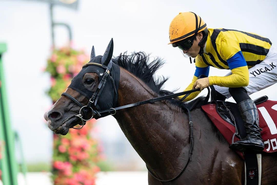 netkeibaのグルメインスタ