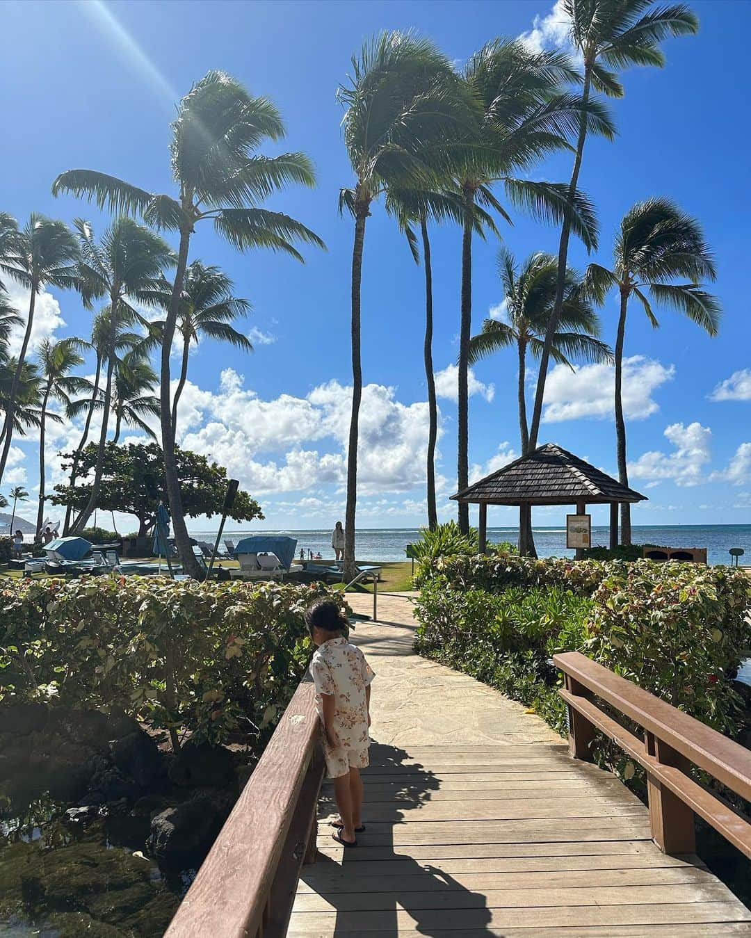 春名亜美さんのインスタグラム写真 - (春名亜美Instagram)「@kahala_resort のイルカちゃんが可愛くて可愛くて🐬🩵  息子達はラグーンにいる🐬と🐠を見るのが日課。 私も毎日愛らしい姿に癒されてる🥰  前にいたウミガメさんは海に帰ったみたいです🐢🌊 長男はすごく残念がっていたけど、ウミガメさんにとっては良かったね☺️  #kahalahotel #kahalaresort #kahalahotelandresort #hawaii #ハワイ #子連れハワイ #ll_旅記録 #イルカ #🐬#カハラホテル」8月21日 21時17分 - amiharunaami