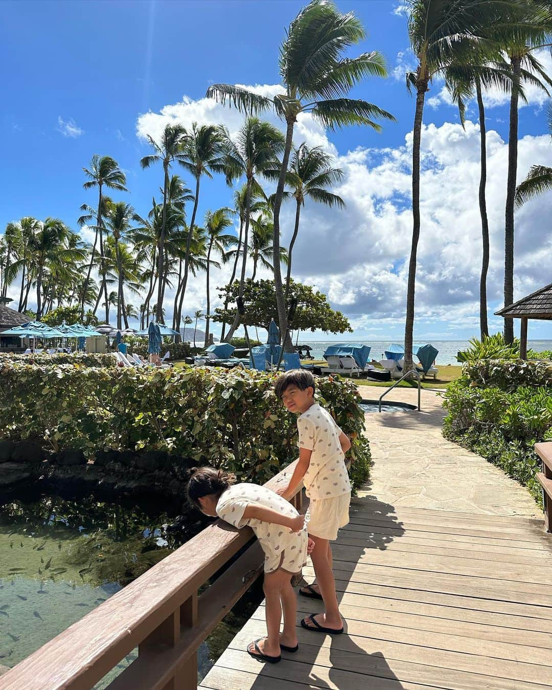 春名亜美さんのインスタグラム写真 - (春名亜美Instagram)「@kahala_resort のイルカちゃんが可愛くて可愛くて🐬🩵  息子達はラグーンにいる🐬と🐠を見るのが日課。 私も毎日愛らしい姿に癒されてる🥰  前にいたウミガメさんは海に帰ったみたいです🐢🌊 長男はすごく残念がっていたけど、ウミガメさんにとっては良かったね☺️  #kahalahotel #kahalaresort #kahalahotelandresort #hawaii #ハワイ #子連れハワイ #ll_旅記録 #イルカ #🐬#カハラホテル」8月21日 21時17分 - amiharunaami