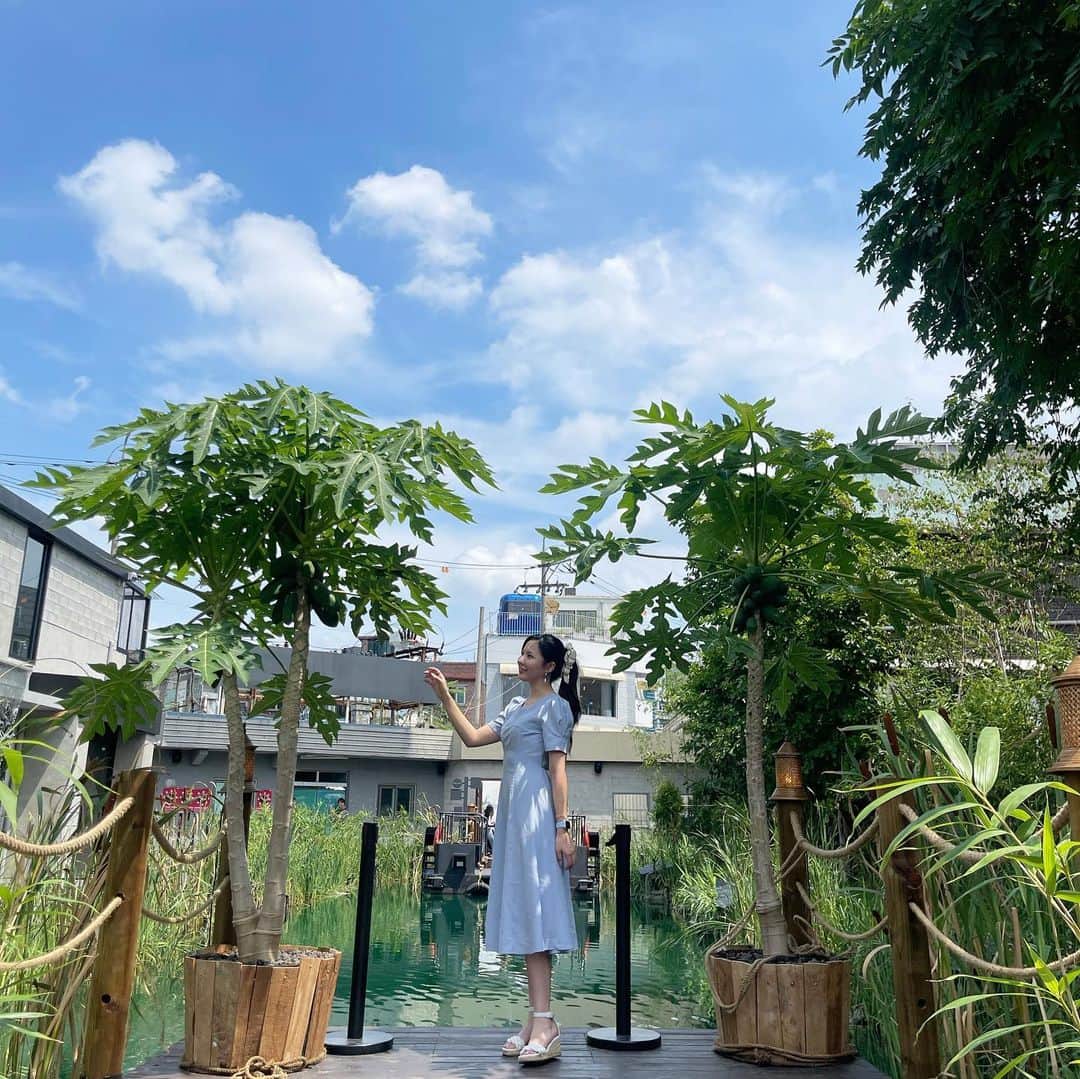 のインスタグラム：「🌻 韓国で美味しい南国料理味わってきた🤭   한국에서 맛있는 남국요리 맛보고 왔엏ㅎㅎㅎ . . . #saladaengembassy #サラデンエンバシー#살라댕앰버시 #韓国カフェ#南国レストラン#韓国レストラン#タイ料理#ベトナム料理#南国リゾート」