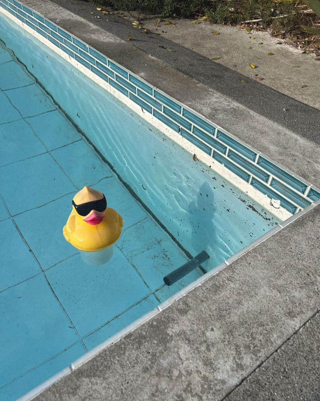 SEIKAのインスタグラム：「. いつかの撮影🕶️ もう夏も終わる…🥺」