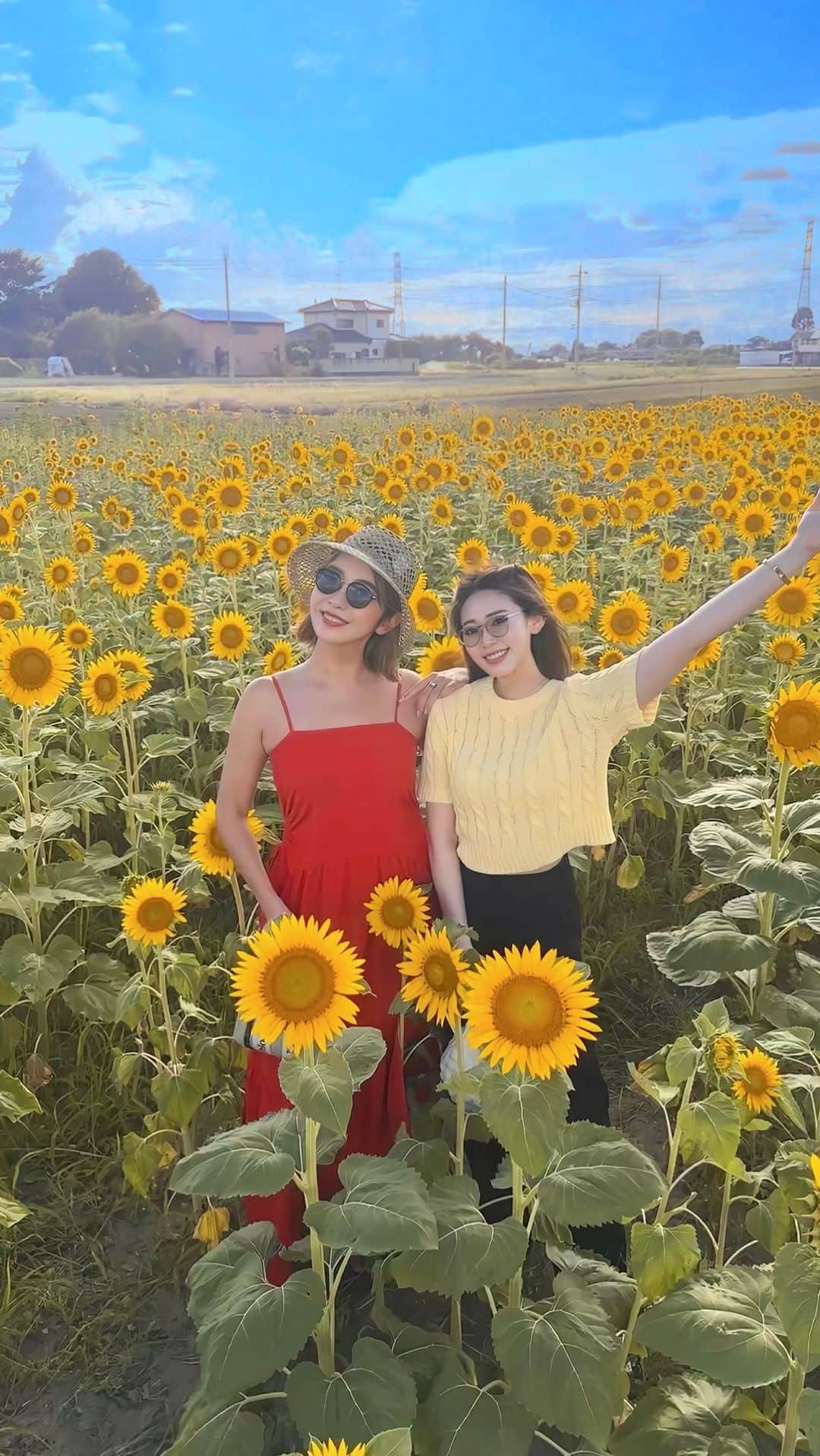 藤川沙弥のインスタグラム：「今年の夏はひまわり畑にも🌻☀️🌈 一面に広がる元気な向日葵達が 絵みたいにめちゃくちゃ綺麗🖼️🥹💛  👀 @onlinecontact で chu's meのmoist brown♥︎」