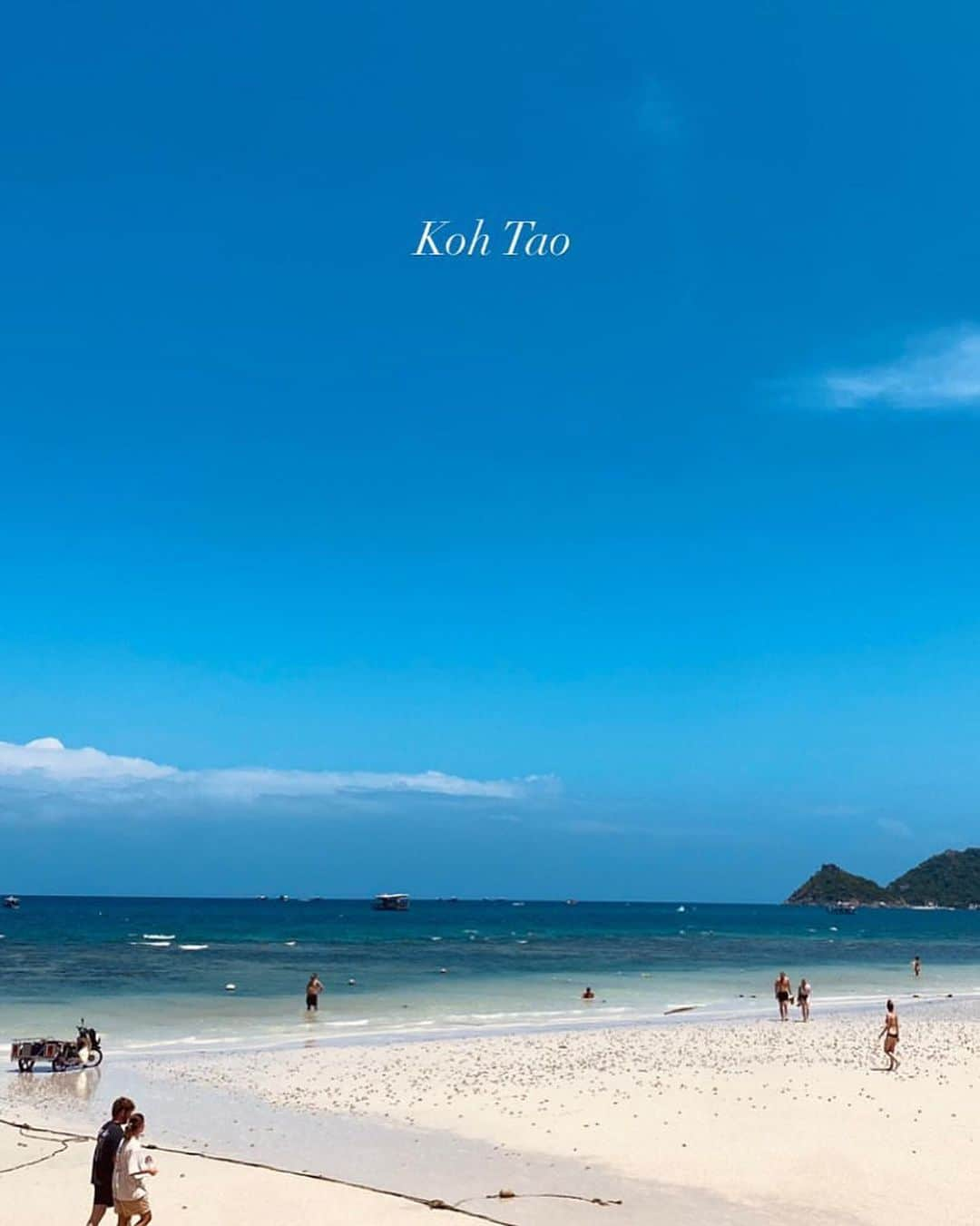 八代健さんのインスタグラム写真 - (八代健Instagram)「Hermosas islas Koh Tao 🤍  #beach #freedive #beachlife  ขอบคุณสำหรับรุปใต้น้ำสวยงามครับ @piipawit @b.blanked  🐶 เขาชื่อ99น่ารักมาก @islandbikerclub」8月21日 22時22分 - kenyashiro