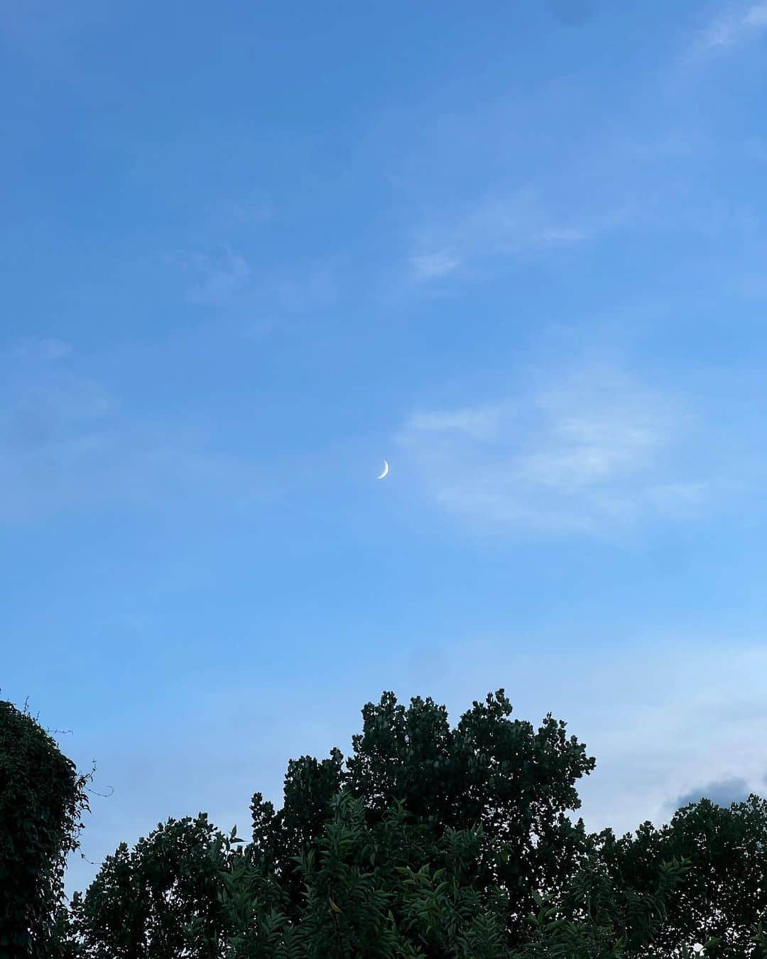 のインスタグラム：「今日の空🌙」