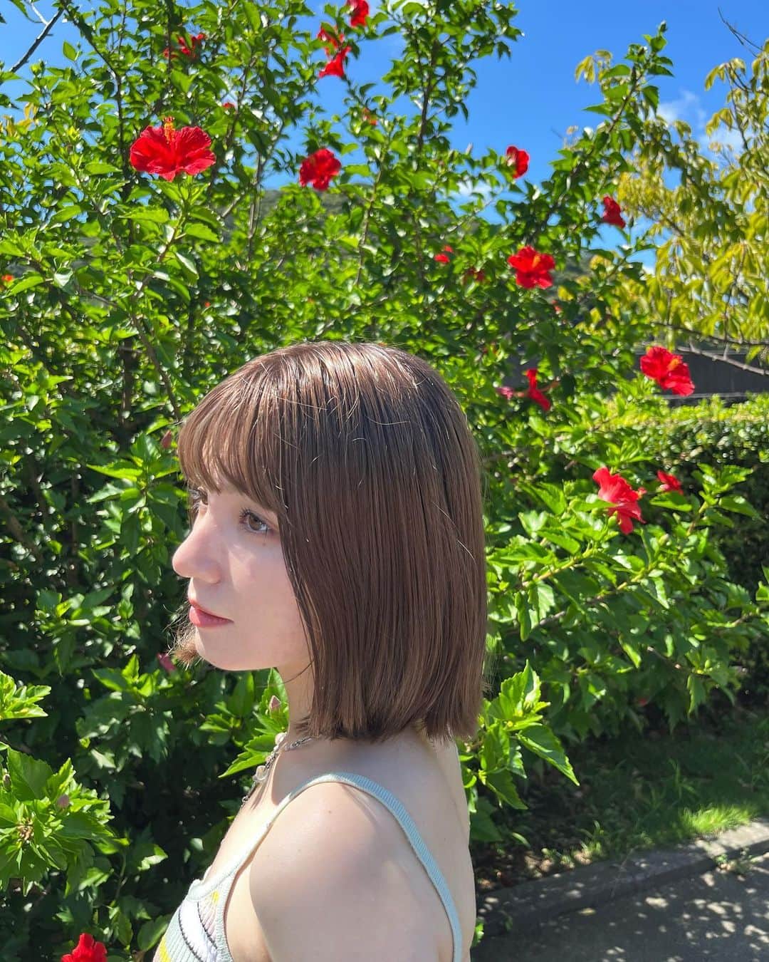 東海林クレア（くれたん）のインスタグラム：「ハイビスカスみつけたの！！結構好きな花上位に入る🌺」