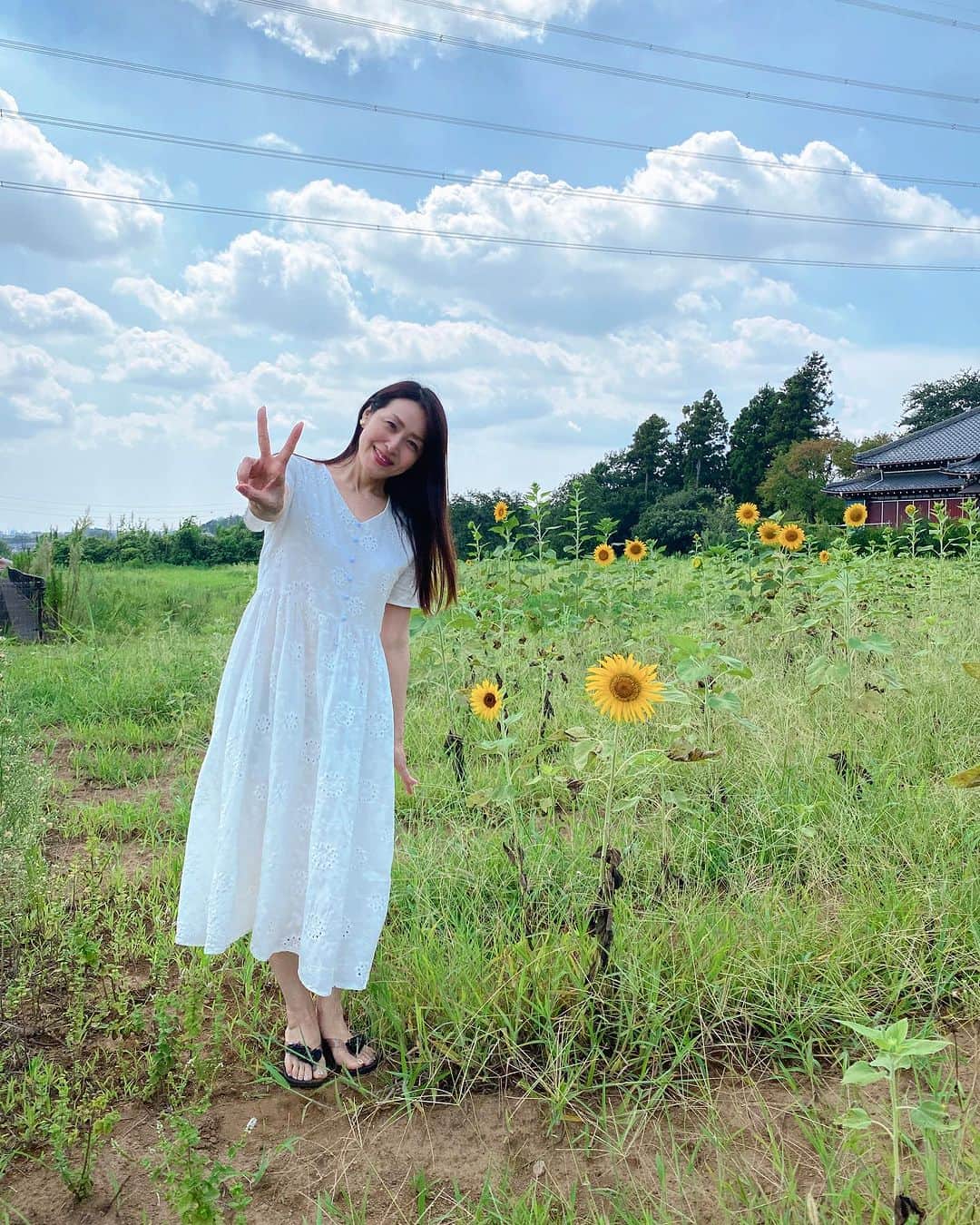 Atsukoさんのインスタグラム写真 - (AtsukoInstagram)「残暑お見舞い申し上げます  この暑さで ひまわり畑もあっという間に 終わってしまいました  近所にこんなのどかなところがあったなんて🤍  自然の中で着たいなぁとチョイスしたのは、 着やすさ抜群の  白の Vネックコットン総刺繍ロングワンピース👗  @instyle365_jp   綿素材だからあせをかいても 蒸れない  白って女性なら一度は憧れる色🩵  自然な私でいられるテイスト  足の指を怪我して ビーサンしか履けませんでしたが、  なかなか良い感じで リラックスできました。  貴方もフェアリー🧚気分で🤍🤍  モデル身長：167センチ Ⓜ️サイズ着用  @instyle365_jp （白ワンピ）  @goinluck.jp   こちらも私のフォロワー様に お得なクーポン頂きました🤍  良かったらお役立てくださいね✨  🤍【お得情報】🤍  instyle365クーポンコード　（白ワンピ） （20% off）【AUG20】 ８月３１日まで  goinluckクーポンコード （20% off）【atsuko】 ９月８日まで  #goinluck  #白ワンピ #instyle #アパレルブランド #ワンピ #ワンピース #ブラックコーデ #ワンピ好き #カジュアルコーデ #バック #ブラックバック」8月21日 23時08分 - atsuko__kawashima_
