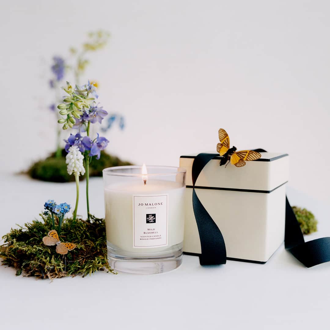 Jo Malone Londonさんのインスタグラム写真 - (Jo Malone LondonInstagram)「Bring the dewy luminosity of the woodland home. Scent your space with Wild Bluebell, its delicate sweetness suffused with lily of the valley and eglantine. Tap to shop. #DeclareYourScent」8月21日 23時10分 - jomalonelondon