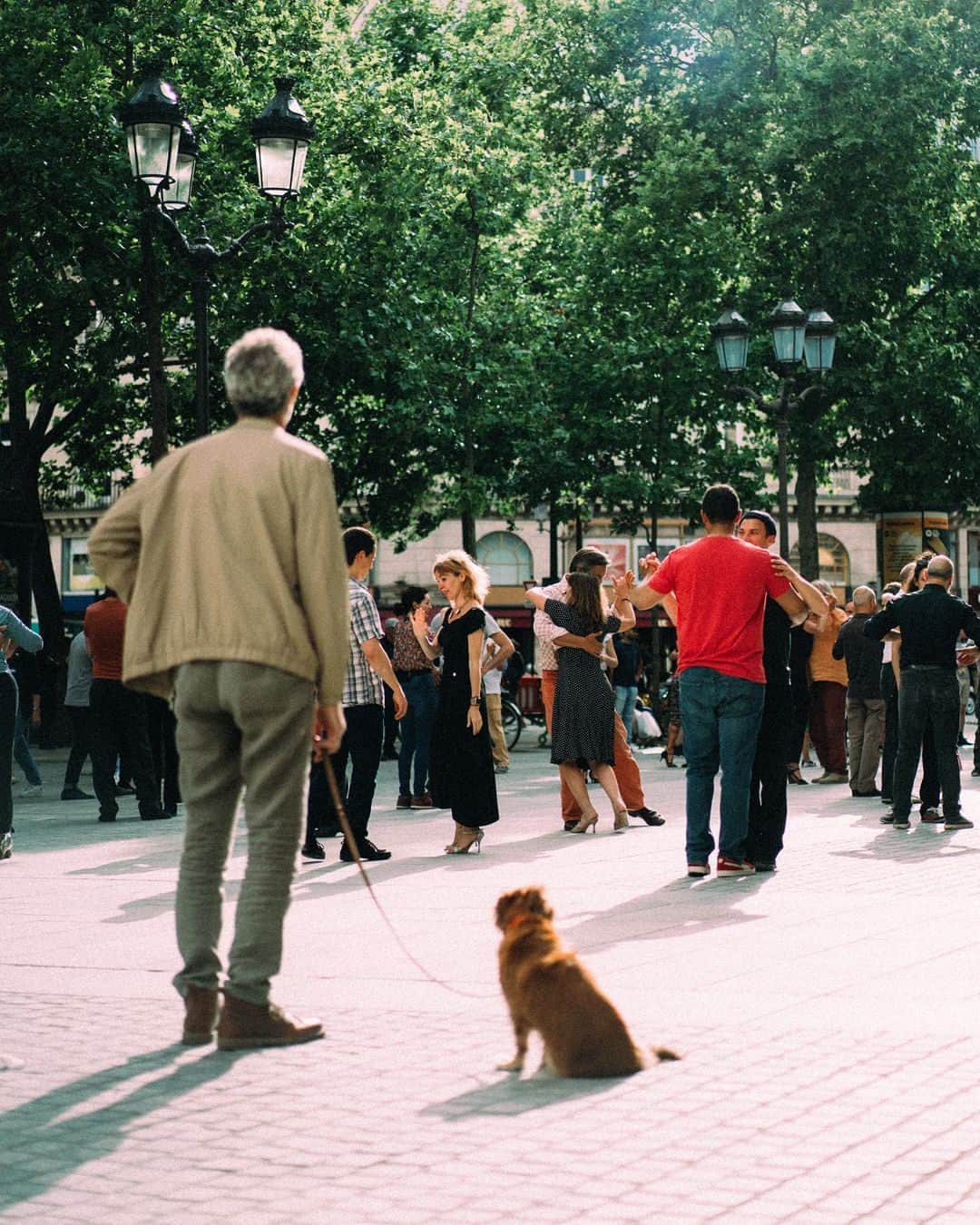 My Little Parisのインスタグラム：「À chacun son compagnon. 🇬🇧: A companion for everyone  (📸: @insta.huy )」