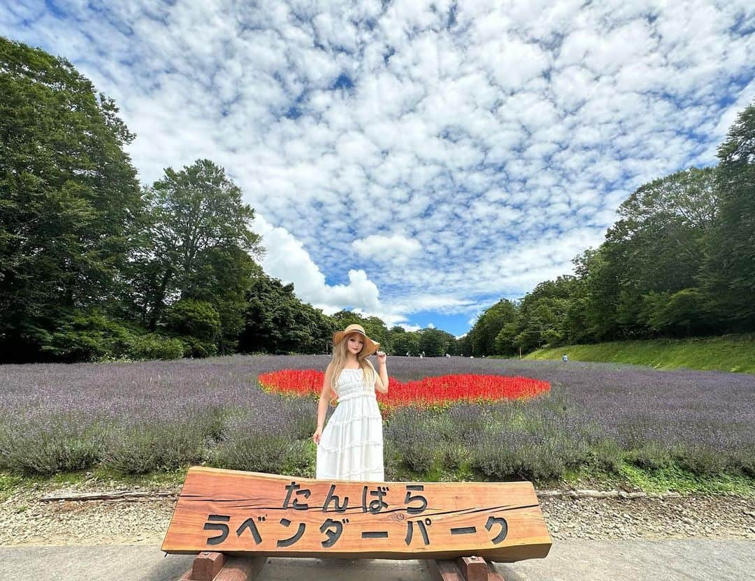 まっぴーさんのインスタグラム写真 - (まっぴーInstagram)「📍群馬県　たんばらラベンダーパーク🪻🪻🪻  念願の長岡花火大会🎆のあと新潟に１泊して、次の日🤗🪻  ちょっと…まだ満開になってないかな⁉️😹 充分キレイやったけど満開の時もいってみたいな〜🪻🥰←欲が出るw🧚‍♀️  #たんばらラベンダーパーク  #🪻🪻🪻 #ラベンダー畑」8月22日 0時13分 - mapink___