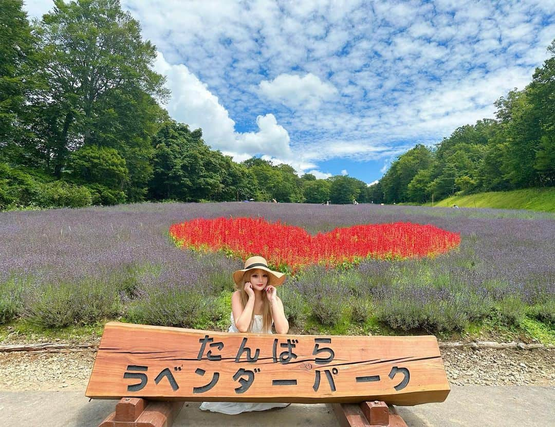 まっぴーのインスタグラム：「📍群馬県　たんばらラベンダーパーク🪻🪻🪻  念願の長岡花火大会🎆のあと新潟に１泊して、次の日🤗🪻  ちょっと…まだ満開になってないかな⁉️😹 充分キレイやったけど満開の時もいってみたいな〜🪻🥰←欲が出るw🧚‍♀️  #たんばらラベンダーパーク  #🪻🪻🪻 #ラベンダー畑」