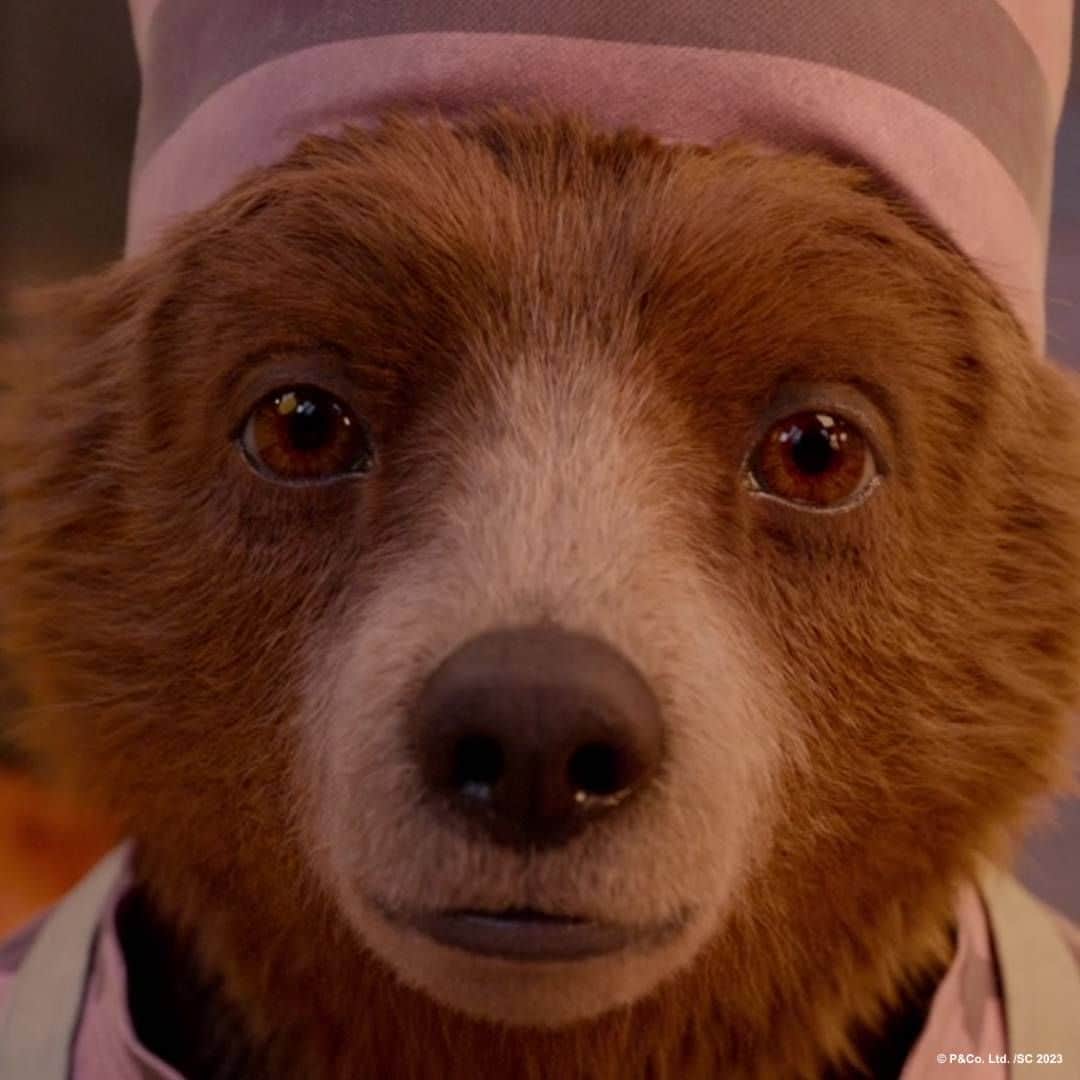 Paddington Bearのインスタグラム：「Me: I'm going to take a quick nap Me 4 hours later:」