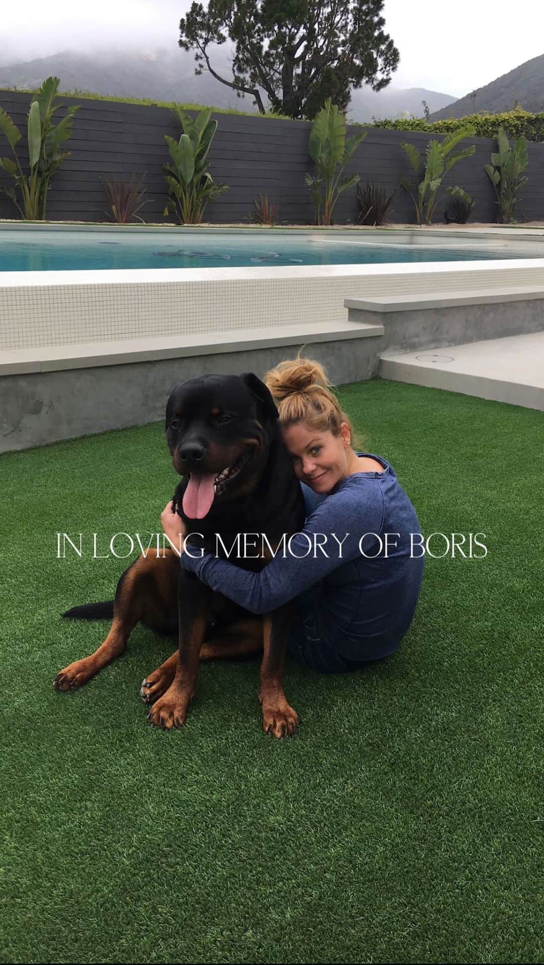 キャンディス・キャメロン・ブレのインスタグラム：「Life isn’t the same without you 💔 Boris. You will forever be with us in our hearts and memories- you brought us so much love, protection and joy. You were such a special boy. Our hearts will never get over you. Now go run with Emma, Sydney, Gianna, Lola and Samson ❤️ my sweet Bobo」