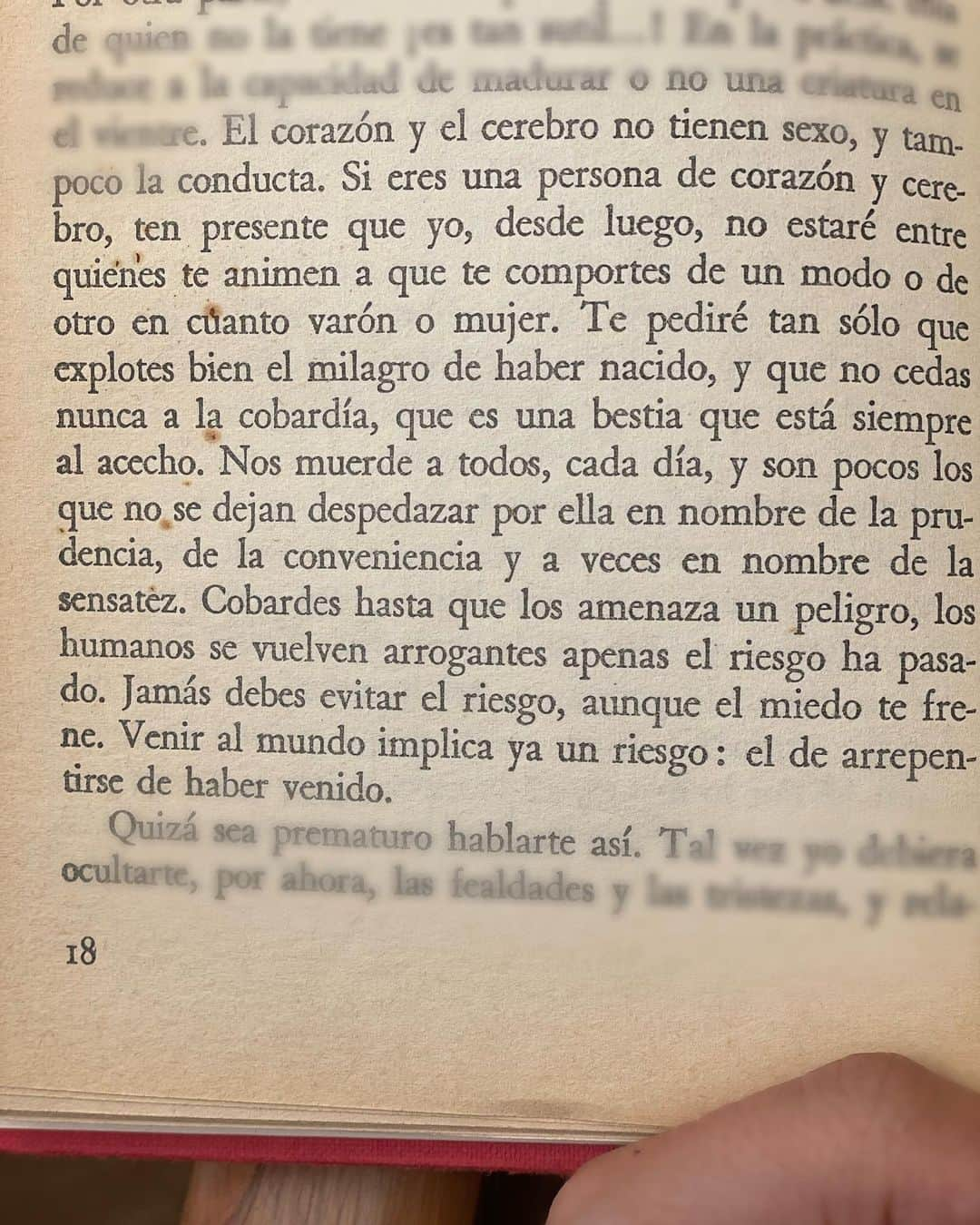 サラ・カルボネロのインスタグラム：「Ser personas de corazón y cerebro. ✨📕   #cosasarecordar #cartaaunniñoquenollegóanacer #OrianaFallaci #lecturarecomendada #verano2023」