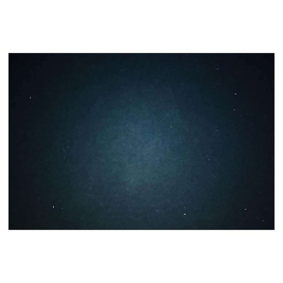 竹仲絵里さんのインスタグラム写真 - (竹仲絵里Instagram)「ポスト投函へ夜散歩。  眼鏡を忘れたけれど 星が綺麗なのは分かる  誰もいない　いつもの街 なんか不思議。  めっちゃ見てる。（2枚目）  #星空 #今夜の星空 #夜さんぽ #カマキリ #夜風」8月22日 1時10分 - eri_takenaka