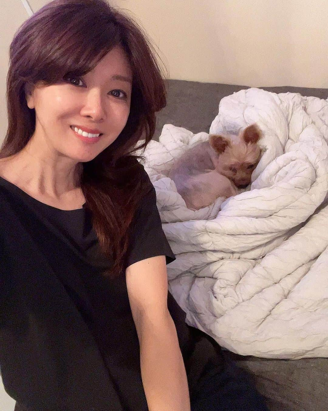 矢部美穂さんのインスタグラム写真 - (矢部美穂Instagram)「クーちゃんと仲良く寝ます💤 お布団にすぐに入ったり丸まったりして 可愛いすぎるクーちゃん♡ 本当に長生きしてほしい🍀 明日も良い１日になりますように✨  そして、今週は火曜、水曜はYABEKEに 行きますので宜しくお願いします♡  #愛犬 #可愛い #おやすみなさい #yabeke #40代 #矢部美穂」8月22日 1時05分 - miho.yabe.0607