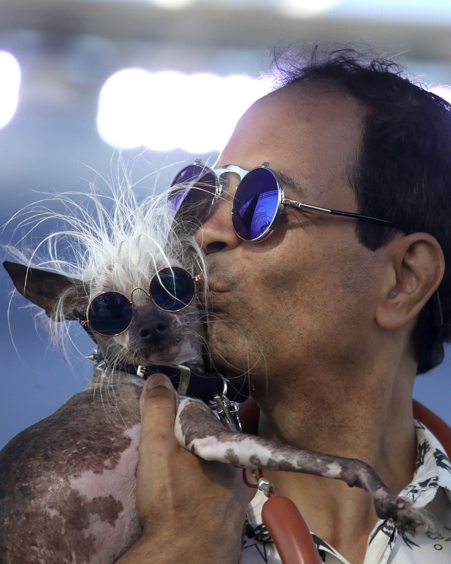 VICEさんのインスタグラム写真 - (VICEInstagram)「Every summer, California welcomes a load of one-of-a-kind pooches to the annual World's Ugliest Dog Contest.  The competition is, of course, not about making fun of "ugly" dogs – that would be very mean. Instead, organisers say the event is a celebration of the "imperfections that make all dogs special and unique", and is intended to show that "these dogs are really beautiful".   Feast your eyes on some of the beautiful canine competitors from over the years.」8月22日 1時06分 - vice