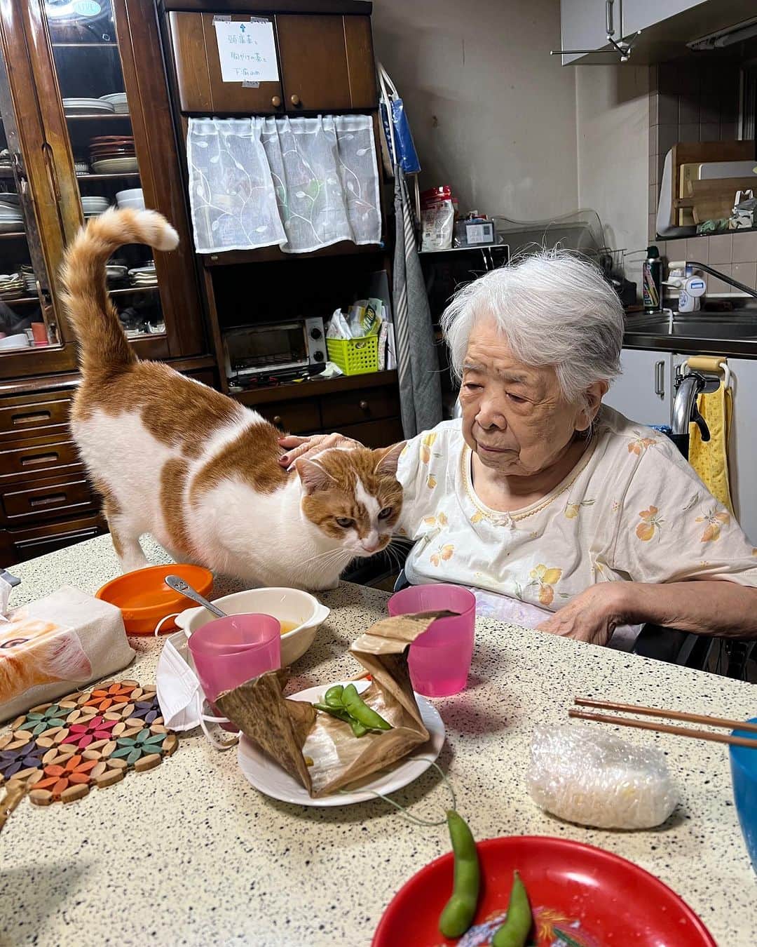 Kachimo Yoshimatsuさんのインスタグラム写真 - (Kachimo YoshimatsuInstagram)「バーバの前を通ったら、 腰ポンされて、ちゅーされた。  #うちの猫ら #猫 #oinari #バーバ #バーバと猫 #ねこ #ニャンスタグラム #にゃんすたぐらむ #ねこのきもち #cat #ネコ #catstagram #ネコ部 http://kachimo.exblog.jp」8月22日 2時04分 - kachimo