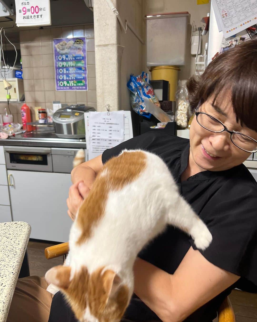 Kachimo Yoshimatsuさんのインスタグラム写真 - (Kachimo YoshimatsuInstagram)「膝に乗るのは好きだけど 抱っこされるのは嫌い。  #うちの猫ら #oinari #猫 #ねこ #ニャンスタグラム #にゃんすたぐらむ #ねこのきもち #cat #ネコ #catstagram #ネコ部 http://kachimo.exblog.jp」8月22日 1時59分 - kachimo