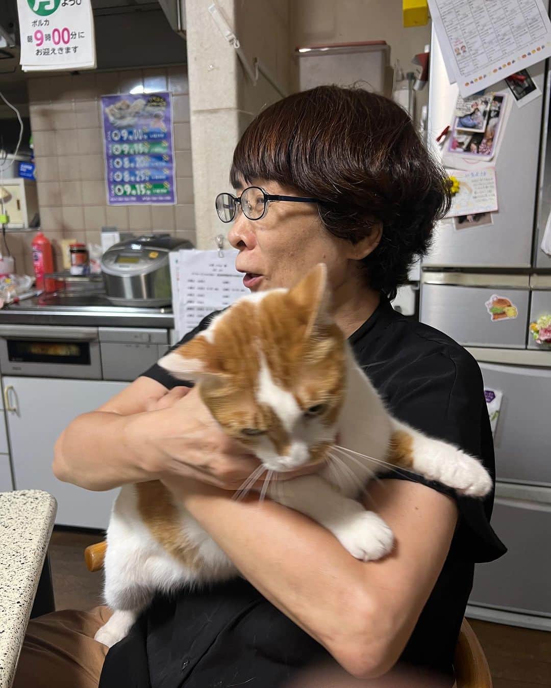 Kachimo Yoshimatsuさんのインスタグラム写真 - (Kachimo YoshimatsuInstagram)「膝に乗るのは好きだけど 抱っこされるのは嫌い。  #うちの猫ら #oinari #猫 #ねこ #ニャンスタグラム #にゃんすたぐらむ #ねこのきもち #cat #ネコ #catstagram #ネコ部 http://kachimo.exblog.jp」8月22日 1時59分 - kachimo