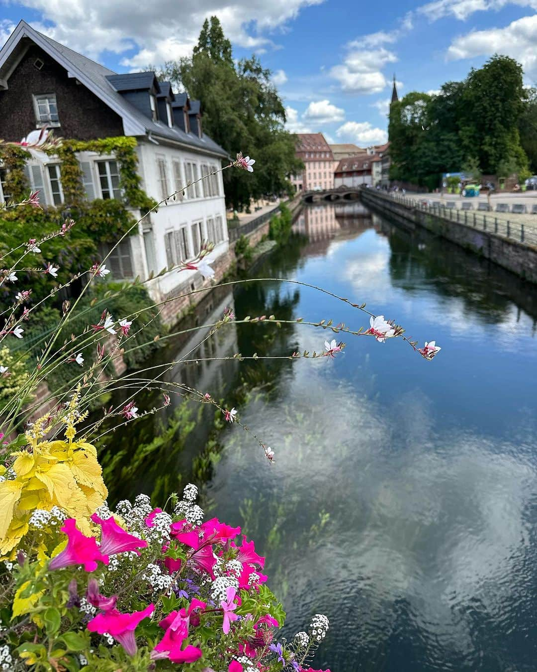 Amata Chittaseneeさんのインスタグラム写真 - (Amata ChittaseneeInstagram)「👑 Bits&bobs along the Rhine river 🇩🇪 I’m wearing Thai textiles, dyes with native plants and hand embroidered with a story of biodiversity being lost & forest being cut down by people who has higher authority and how local people fight to protect their home-lands @bhukram.thailand #pearypiearoundtheworld #germany #rhineriver #rhinerivercruise #pearypiewearsthaifabric」8月22日 13時26分 - pearypie