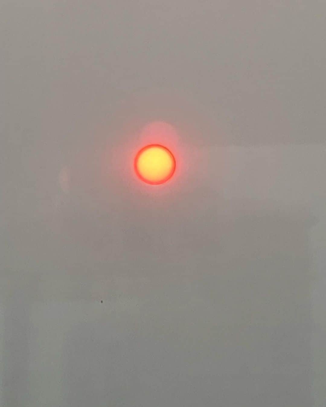 北斗晶さんのインスタグラム写真 - (北斗晶Instagram)「😫この太陽… 夕陽に見えない❓  実はこれ❗️昨日の早朝に撮った 【バンクーバーの朝日】 （同じタイトルの映画があったね〜）  カナダの山火事の影響で朝日が夕陽みたいに見えてました😱  ガラス窓に、朝日が昇って 太陽が２つに見えた時… ちょっと不気味でした💧  ブログやインスタでカナダの山火事で心配してくださる方がいたので。  少し、煙っぽさはありますが 大丈夫です🙆‍♀️  昨日は光浦やっちゃんがアパートに遊びに来てね。 ご飯を食べて沢山笑い話をして楽しい1日でした😊 友達が、この地に居るのは嬉しい事です❤️ 帰国までにあと何回会えるかな〜❓  #カナダ  #山火事  #バンクーバーの朝日  #友達  #光浦靖子  #バンクーバー」8月22日 5時10分 - hokutoakira_official
