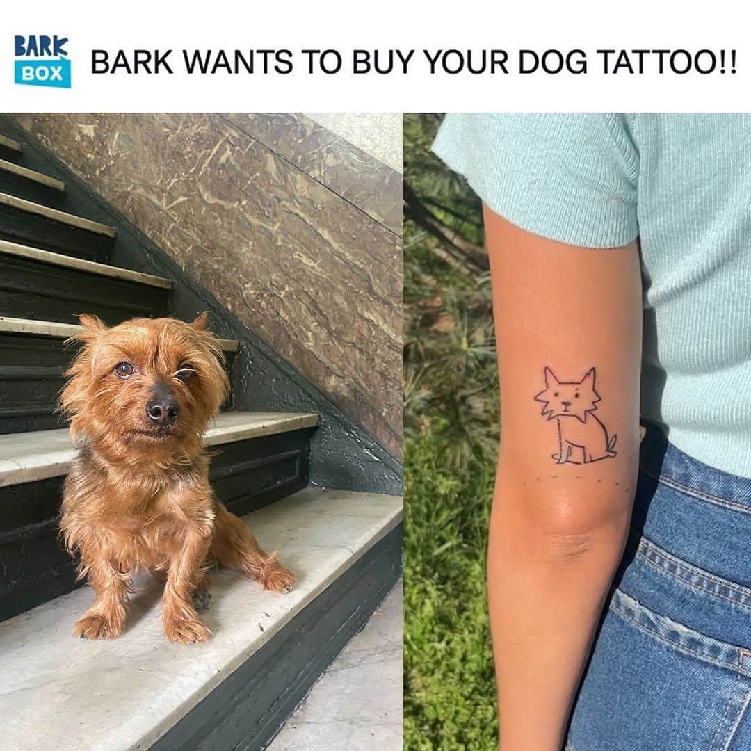 BarkBoxのインスタグラム：「🚨IN HONOR OF NATIONAL DOG DAY, WE WANT TO PAY FOR YOU TO GET A TATTOO OF YOUR DOG!🚨 If you want to be jabbed with a needle to show the world how much you love your dog, check out the link in bio and do it on BARK'S DIME!!  📸: @andrecaceresg」