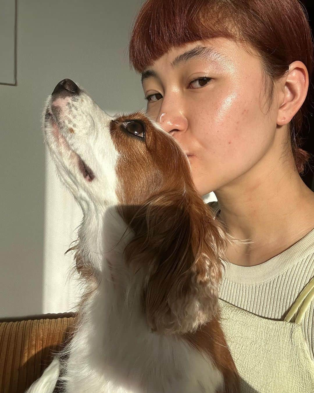 村上佳菜子さんのインスタグラム写真 - (村上佳菜子Instagram)「おはよーのサンサンライズ☀️ 愛娘ViViとのモーニングショット。 . . . #おはようございます  #goodmorning  #morningshoot  #キャバリア  #犬のいる生活  #鼻はニキビの薬 . .  #figureskate #figureskater #skate #skater #olympian #tagsforlikes #followme  #我的最愛 #照片  #请关注一下 #팔로우미 #팔로우환영　#일상　#94년생　#데일리」8月22日 7時21分 - kanako_m_official