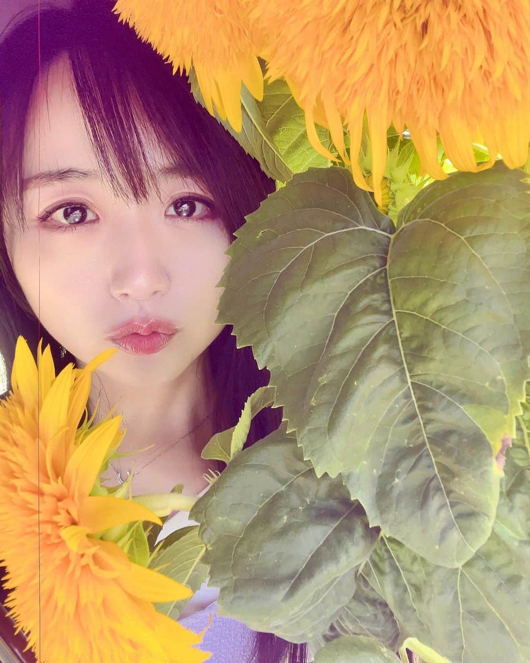 久保亜沙香のインスタグラム：「おはようございます🌻」