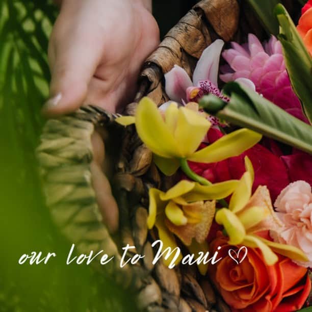 Lanikai Bath and Bodyさんのインスタグラム写真 - (Lanikai Bath and BodyInstagram)「There have been mixed messages about visiting Maui. Please read this HAWAII BEAT post which provides important insight:  Maui businesses are imperiled.  "After visitors were shipped wholesale from the entire island, the return to normal tourism is challenged. Other than West Maui, all of Maui is open and wants visitors. But if visitors don’t return in volume soon, businesses, from mom-and-pop stores to hotels and restaurants, will face the inevitable together with their employees."  There is also information here, if you'd like to make a donation to help victims. We've made one financial contribution and will make another soon.   https://beatofhawaii.com/maui-financial-ruin-next-visitors-plummet-unemployment-skyrockets/?utm_source=rss&utm_medium=rss&utm_campaign=maui-financial-ruin-next-visitors-plummet-unemployment-skyrockets  #mauistrong #lahainastrong」8月22日 8時37分 - lanikaibathandbody