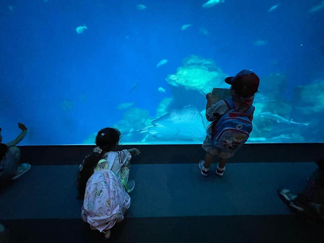 小林亜里紗のインスタグラム：「#夏の思い出 #時差投稿 #大洗水族館 #すみっコぐらしコラボ ムスメ希望の　#水族館 #お盆休み　ながら、高速は割とスイスイ。(4時半起き) 高速降りてから海岸に出るまでが混み混みで、水族館もオープンしてしまい、めちゃこみでした🤣  けど、ショーも見られたし、ムスメの好きなすみっコぐらしコラボのうちに行かれたのでよし。」