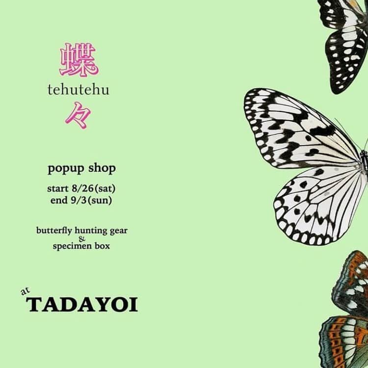 水戸悠夏子さんのインスタグラム写真 - (水戸悠夏子Instagram)「今週末26日からtehutehuのポップアップを開催します。  TADAYOIの中でも、ご説明すると、え？！　と、聞き返される率の高い洋服。  デザイナーの朝野さんが山に入り蝶採集をする中で生まれた"蝶採集の為"に作られたジャケット達。  ご本人にとっては超実用的でありながら、私たちにしてみれば何とまあ詩的でロマンティック・・・  袖を通して貰えば驚きの機能の数々は勿論、その格好良さに皆さん頷いてくれます。  今回も、TADAYOI店頭にないジャケット（ハンティングギア）はもちろん、specimen box（蝶の標本）も沢山お持ち頂きます。  このspecimen boxがまた凄いのです。（凄いとしか言いようがない）  きっと、ここで見なければ一生出会わないであろう美しく貴重な蝶達。 朝野さんのお話を聞きながら、是非ゆっくりご覧になってみてください。  TADAYOIの方にも書きましたが、買う買わないなどの話ではなく・・・まずは来てみて頂きたい、とても濃厚なポップアップになっています。  初日26日は恒例、23時頃遅めの時間までDJ在中のラウンジスタイルで営業致しますので、朝野さんのお話を聞きに、ビール一杯飲みに、お気軽にお立ち寄り下さい◎  （tehutehuから送られてくる封筒にはいつも蝶の切手を貼って下さるので、地味にコレクションしています。）  ---------------------------------------  【tehutehu -pop up shop  at  TADAYOI】 2023年8月26日（土）〜9/3（日） ※30日（水）定休日  26.27日はデザイナー朝野さん在店」8月22日 10時02分 - mitoyukako
