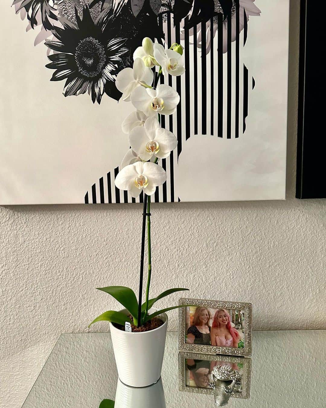 武田久美子さんのインスタグラム写真 - (武田久美子Instagram)「. 家のリビングルームにて。 1週間の始まりを清々しく過ごしたいと、 頑張ってバレエクラスに行って来ました♪ 娘から貰ったorchidに氷🧊を２つ根本に置きました! 週に2回程のiceが長持ちさせるコツです💜  #livingroom #orchard」8月22日 10時28分 - kumikotakedaofficial