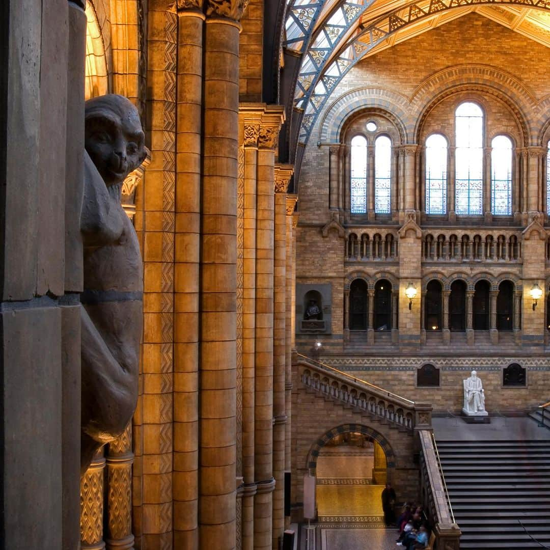 タイ航空さんのインスタグラム写真 - (タイ航空Instagram)「🌏✨ Embark on a captivating journey with Thai Airways to the enchanting city of London and experience the wonders of the Natural History Museum! 🏛️🦕 Immerse yourself in the rich history of our planet, from ancient fossils to stunning exhibits that showcase the diversity of life on Earth. 🌿🌍  The Natural History Museum is a treasure trove of knowledge and inspiration, and we believe every curious soul should witness its wonders. 🤩✈️ Let Thai Airways be your winged companion as you explore this iconic destination!  Visit our website now to book your flight and plan your unforgettable adventure to London. 📅👉 thaiairways.com or click link our bio.  📸 Share your #NaturalHistoryMuseum moments with us, and let's inspire more travelers to experience the magic of discovery together! 📸🗺️   #thaiairways #smoothassilk #london #uk #TravelWithThaiAirways #LondonAdventure #ExploreTheWorld #AsianTravelers #Engagement #naturalhistorymuseum」8月22日 10時35分 - thaiairways