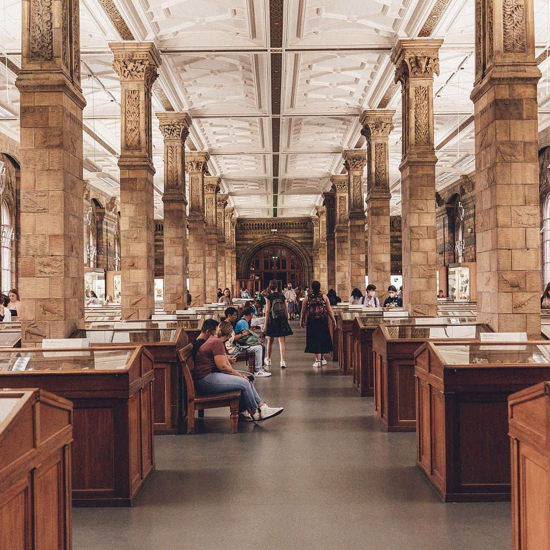 タイ航空さんのインスタグラム写真 - (タイ航空Instagram)「🌏✨ Embark on a captivating journey with Thai Airways to the enchanting city of London and experience the wonders of the Natural History Museum! 🏛️🦕 Immerse yourself in the rich history of our planet, from ancient fossils to stunning exhibits that showcase the diversity of life on Earth. 🌿🌍  The Natural History Museum is a treasure trove of knowledge and inspiration, and we believe every curious soul should witness its wonders. 🤩✈️ Let Thai Airways be your winged companion as you explore this iconic destination!  Visit our website now to book your flight and plan your unforgettable adventure to London. 📅👉 thaiairways.com or click link our bio.  📸 Share your #NaturalHistoryMuseum moments with us, and let's inspire more travelers to experience the magic of discovery together! 📸🗺️   #thaiairways #smoothassilk #london #uk #TravelWithThaiAirways #LondonAdventure #ExploreTheWorld #AsianTravelers #Engagement #naturalhistorymuseum」8月22日 10時35分 - thaiairways