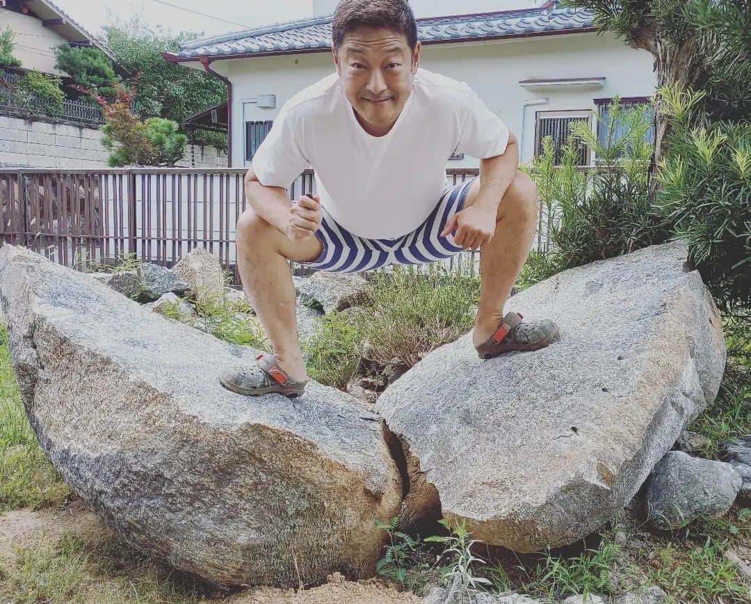 おおい大輔さんのインスタグラム写真 - (おおい大輔Instagram)「実家の庭石  パッカーン」8月22日 11時02分 - ohi_daisuke