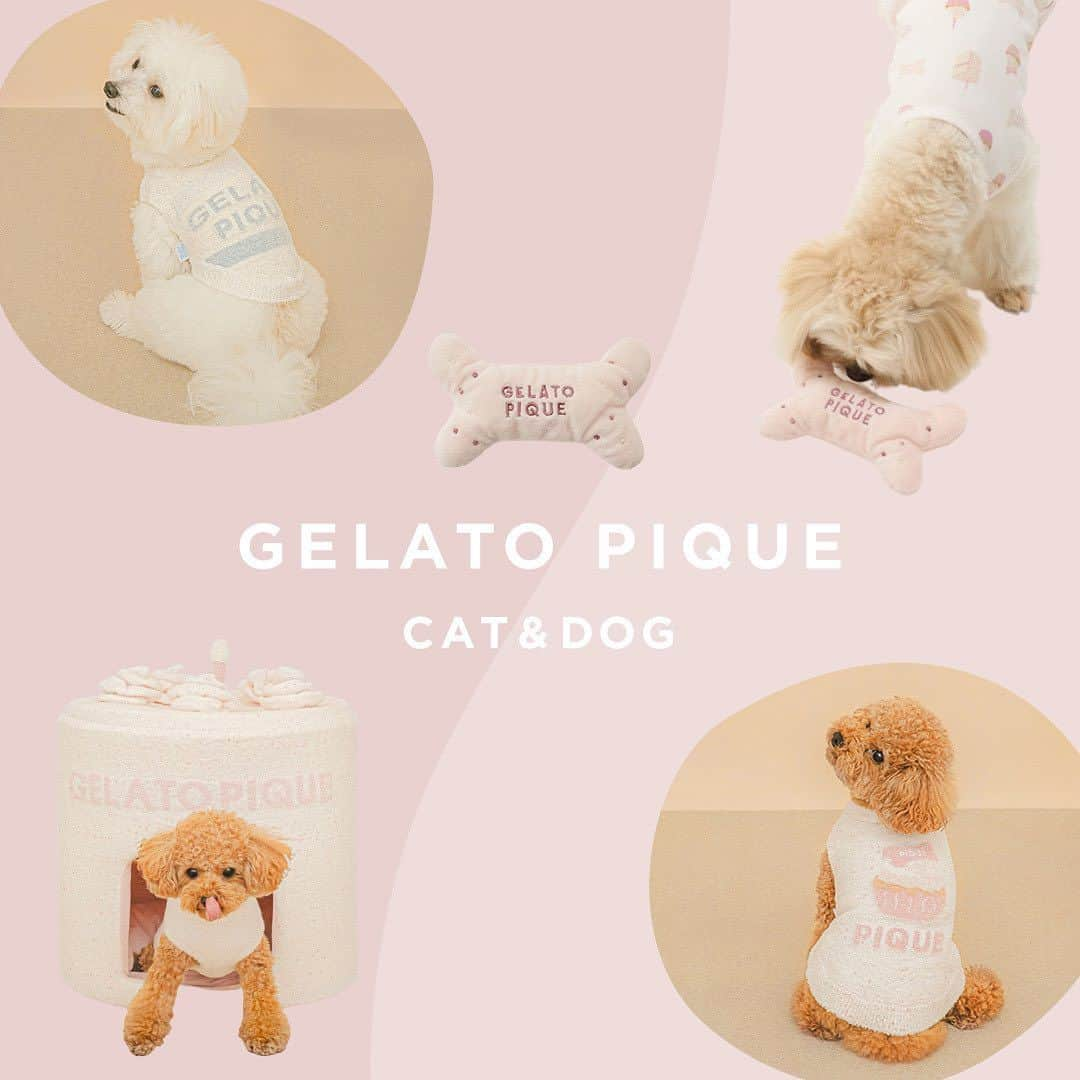 Caluluさんのインスタグラム写真 - (CaluluInstagram)「GELATO PIQUE CAT&DOGの誕生1周年を記念した、「バースデーシリーズ」が新登場🎂💕  ホールケーキ型ハウスやケーキ柄のウェアなどスウィートな商品が沢山💝  お誕生日の記念写真などにもオススメです🧁  また、人気のスター柄を用いたウェアも登場しています🌟  ぜひチェックしてくださいね🐾  -----------------------------  Caluluオンラインショップは ▼プロフィールのlitlinkよりアクセス🌼 @calulu_dogwear  -----------------------------  #calulu #caluludogwear #カルル #カルルドッグウェア #きょうのわんこ #癒しわんこ #わんこ部　#いぬすたぐらむ  #おしゃれわんこ #いぬのいる暮らし #お出かけわんこ #お出かけわんこ部 #いぬとの暮らし #カルルわんこの会 #カルルにゃんこの会 #ねこのいる生活 #ねこのいる幸せ #猫のいる暮らし #ねこすたぐらむ #ねこ部 #ペット用品 #ペットグッズ #ペットアイテム #gelatopique #ジェラートピケ #ジェラピケ #アニバーサリー #ケーキ #バースデー #バースデーシリーズ」8月22日 11時48分 - calulu_dogwear