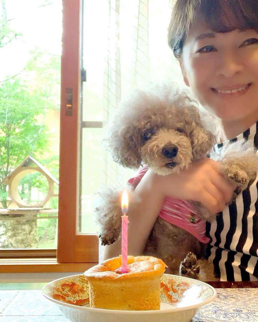 岡まゆみさんのインスタグラム写真 - (岡まゆみInstagram)「昨年の今日…みゆの18歳の誕生日🐶用のケーキでお祝いしたね。 今日もケーキ用意したよ。お空の上でも美味しく食べてね🧁 昨夜は夢の中で抱っこしたね。本当は今日も一緒に過ごしたかったけど…。 私の大切な大切な愛しいみゆ…いっぱい愛してるよ…。」8月22日 12時12分 - okamayumidesu