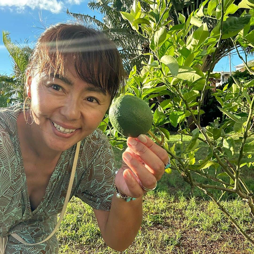 田中律子さんのインスタグラム写真 - (田中律子Instagram)「沖縄の大好きなお店、恩納村真栄田岬にあるピザ屋さん🍕 ENZO @okinawa_italian_pizzeriadaenzo   オーナーの坂口さんと　@haruhikosakaguchi  ご飯しよー🍕っとなり、水中カメラマンの篠宮さん　@ryuzoshinomiya も来て、宮本亜門さんも後から合流してくれて、賑やかな会になりました🍷二次会もディープな会になり、飲みながら自然環境のことから色んなお話しが出来て楽しい夜でした🤩みなさま、ありがとうございました🙏🏼  台風🌀6号で、今年実がついてたバナナ🍌は全て全滅ーーー😱 この写真の収穫したバナナで終わり😭めちゃくちゃなってたのになー、また来年に期待‼️レモン🍋も葉っぱが全部なくなって、ハゲ坊主になり、グァバも全部ダメになってしまった😓家は無事だったけど、植物達がかなりな被害🌴 またすぐに新しい芽が出て、葉っぱが出てくるね✨  最後の写真は、篠宮さんが撮ってくれました📷笑うとシワと目がなくなる私😆52年の年輪だな🫶🏼  #okinawa  #okinawalife  #enzo  #真栄田岬  #ありがとう」8月22日 12時14分 - ri2kotanaka