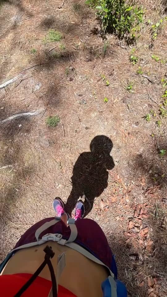 ペイジュ・レイリーのインスタグラム：「Florida ☀️🥾🌳  📍Croom, Rainbow River, Hillsborough River State Park,  Booker Creek Preserve   #explore #hiking #florida」