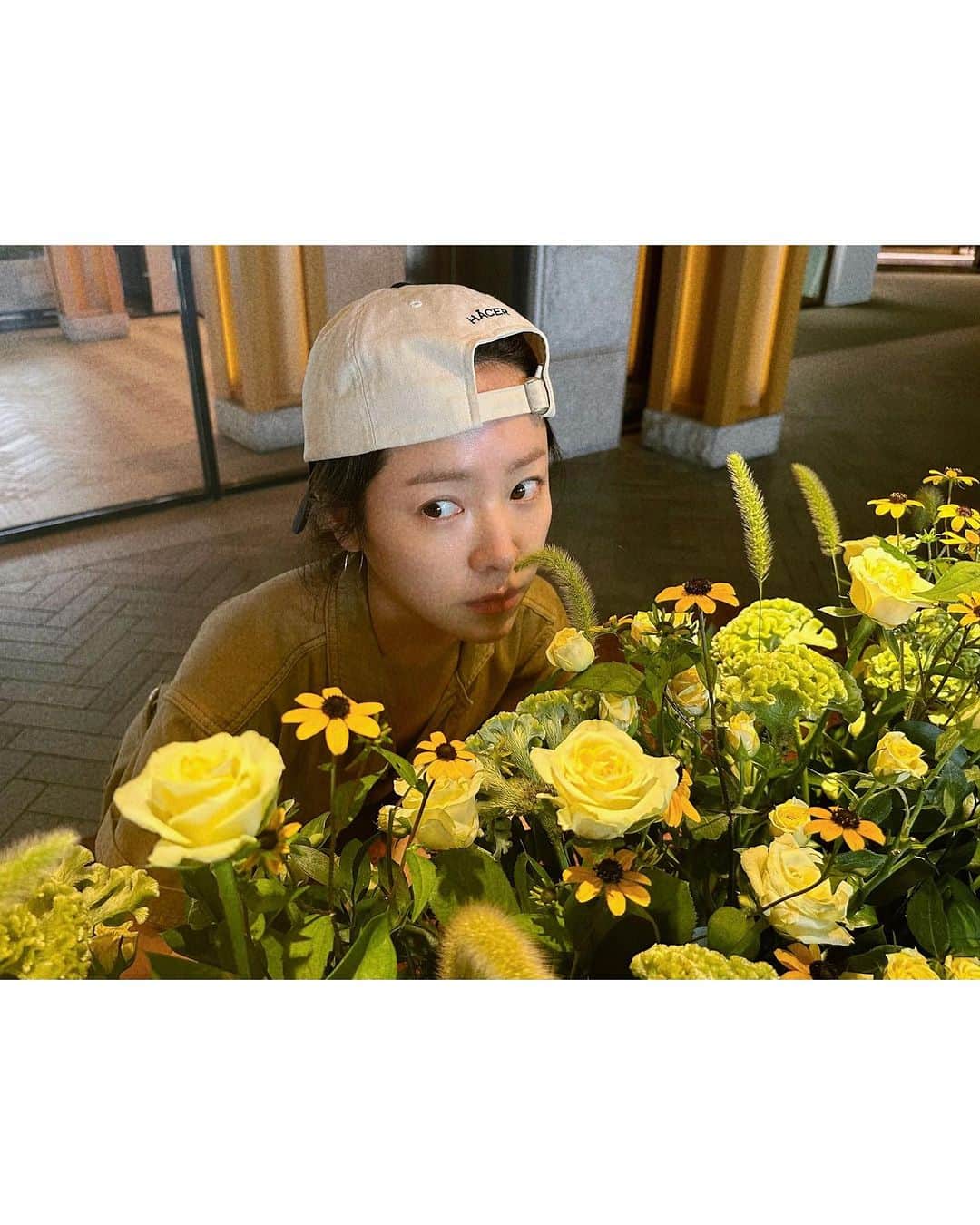 のインスタグラム：「. 🌼🍓🐰🐶🐱📕」