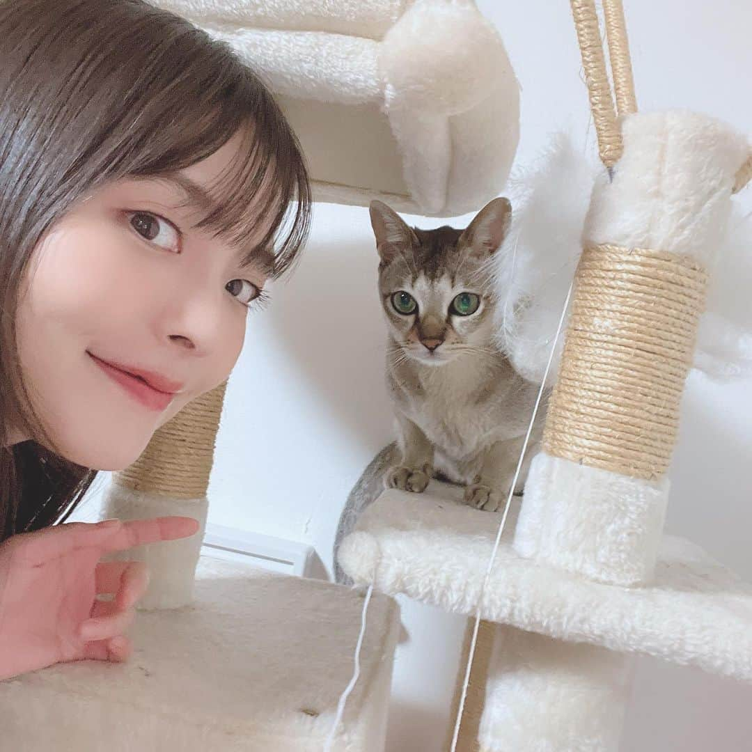 上坂すみれのインスタグラム