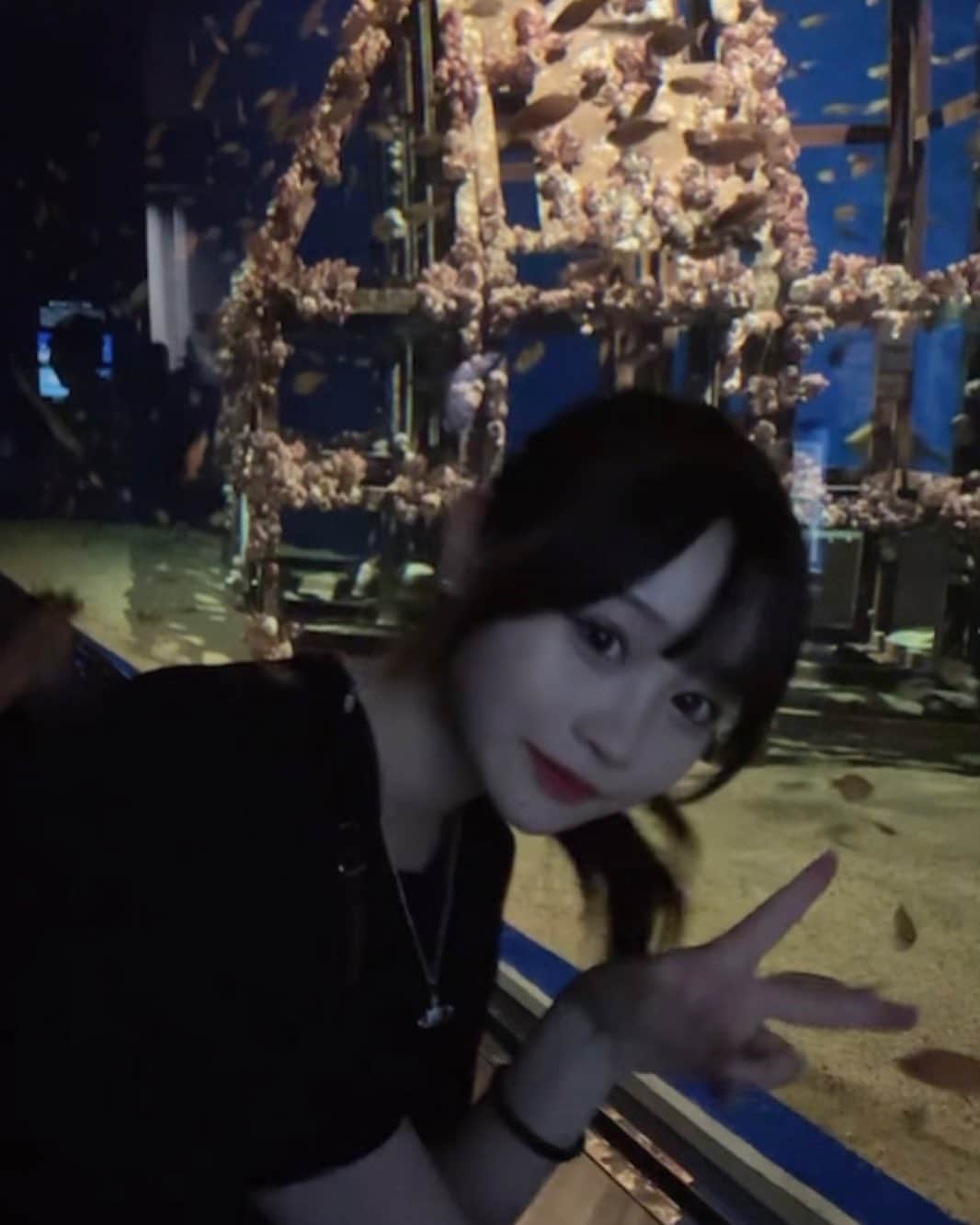 古園井寧々のインスタグラム：「スクショ爆笑  夜の水族館！！大満足 ・ ・ ・  #07  #水族館」