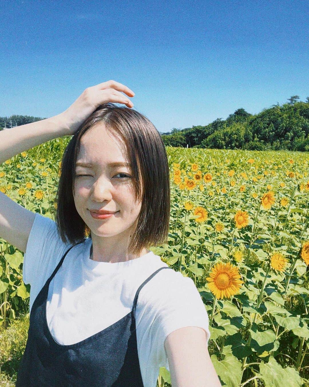 小林美季のインスタグラム：「秋田の夏撮影☀️  にかほ市で ひまわり畑見つけたー！！*  すっごく晴れて 眩しすぎて目が開きませぬ  #撮影 #オフショット #秋田県にかほ市 #summer #shooting #ひまわり畑 #nikahodays」