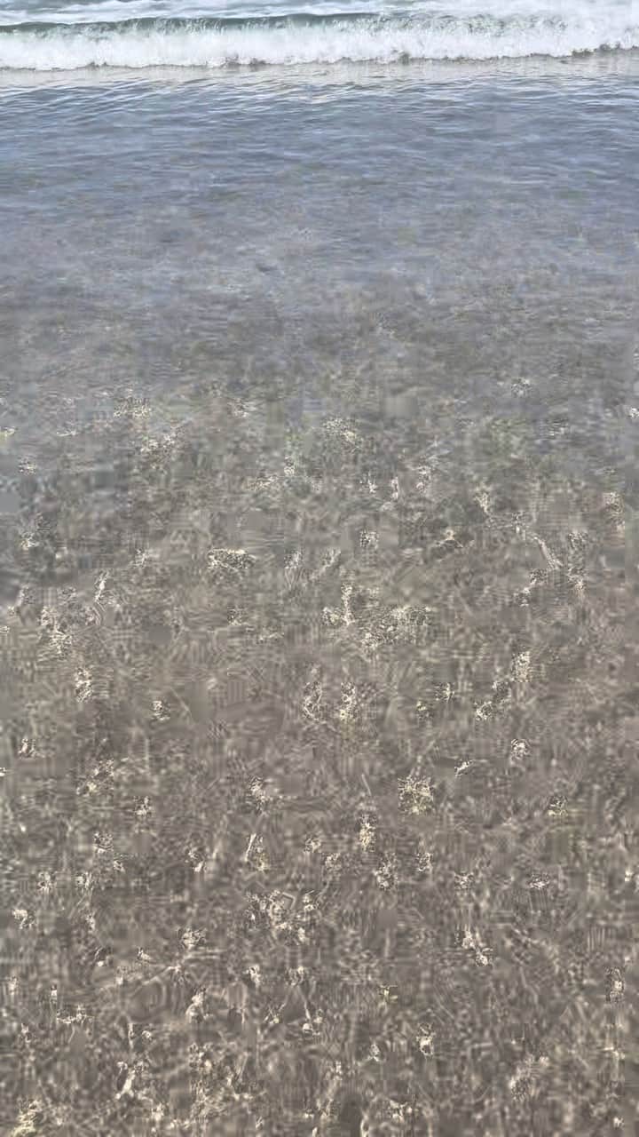 東海林クレア（くれたん）のインスタグラム：「海」