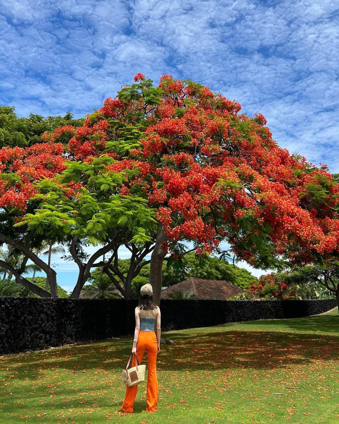 三好ユウさんのインスタグラム写真 - (三好ユウInstagram)「ハワイ島🏝️ The sea of Hawaii Island. ⁡ ⁡ コロナ禍やワクチンの影響でなんだかんだ 3年振り✈️久しぶりの方にも会えて嬉しい＾＾ ⁡  いつ来ても鮮明な青が綺麗🌊 ⁡  念願のコストコにも足を運んでみました。 ⁡最後の写真は犬の餌コーナー🐕 うちの子にはあまりにも量が多すぎる…（笑） ⁡ ⁡ ⁡  #ハワイ#ハワイ大好き#ハワイ島#ハワイの海#タビジョ#旅行好きな人と繋がりたい#リゾート#粉我#좋아요환영#좋아요그램#데일#hawaii#fourseasons #tabijo#tabinikki#trip#japanese #travel#swimwear」8月22日 19時00分 - yuu_5240