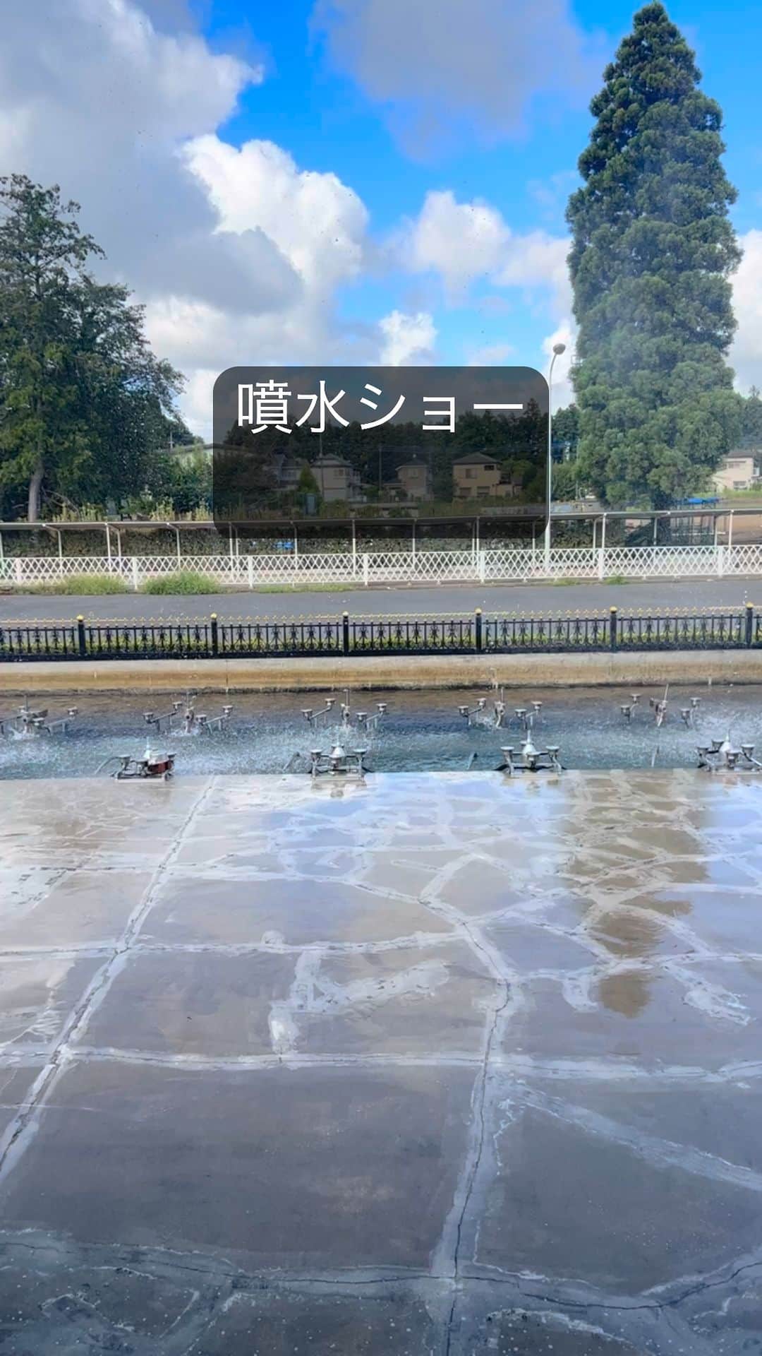 楢原真樹のインスタグラム