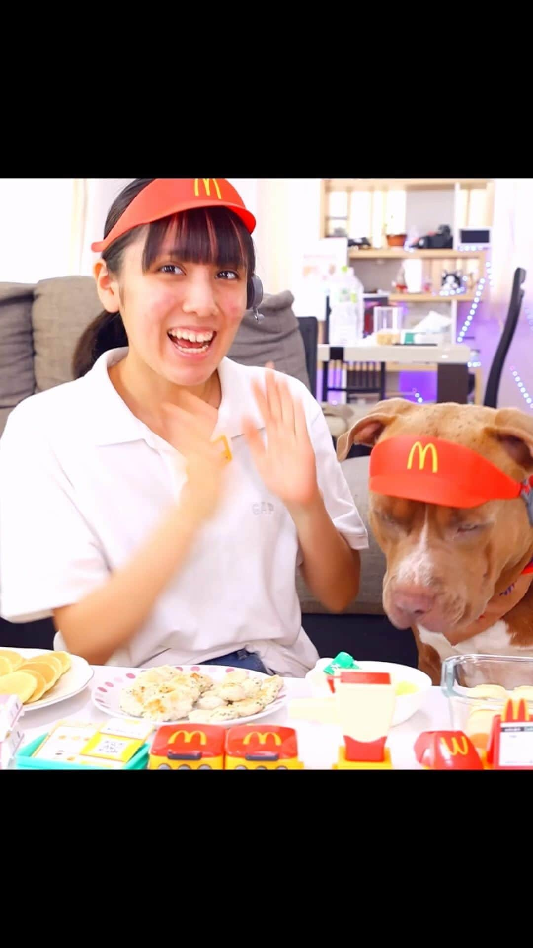 りくのインスタグラム：「ピットブルのロッキーとレイとマクドナルドごっこ！犬用ハンバーガーを手作り！フルはYouTubeで見てね✨ #アメリカンピットブル #ピットブル #アメリカンピットブルテリア #マクドナルド #ペット #犬 #犬のいる暮らし @mcdonaldsjapan」